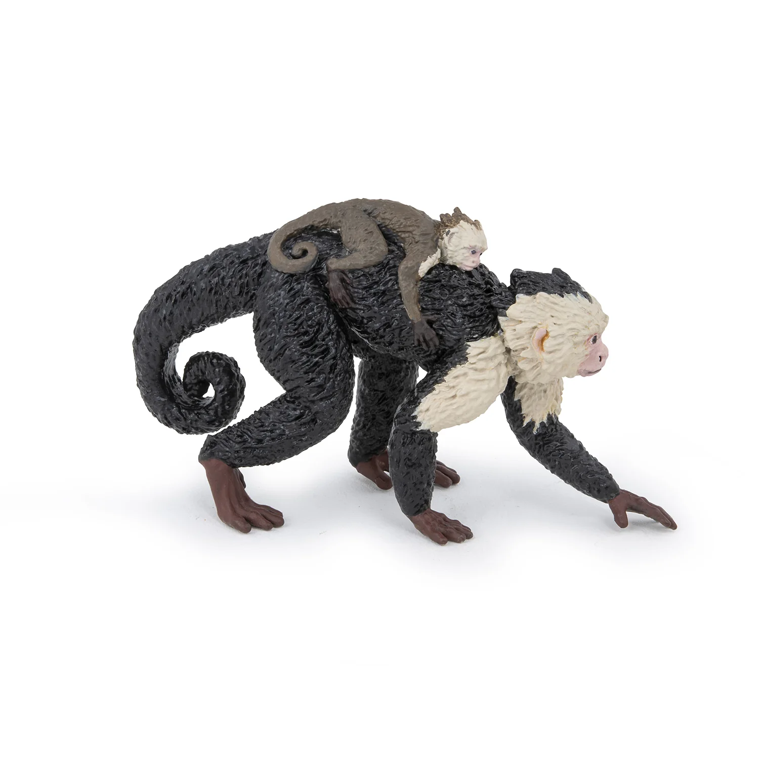 papo-capuchin-50312