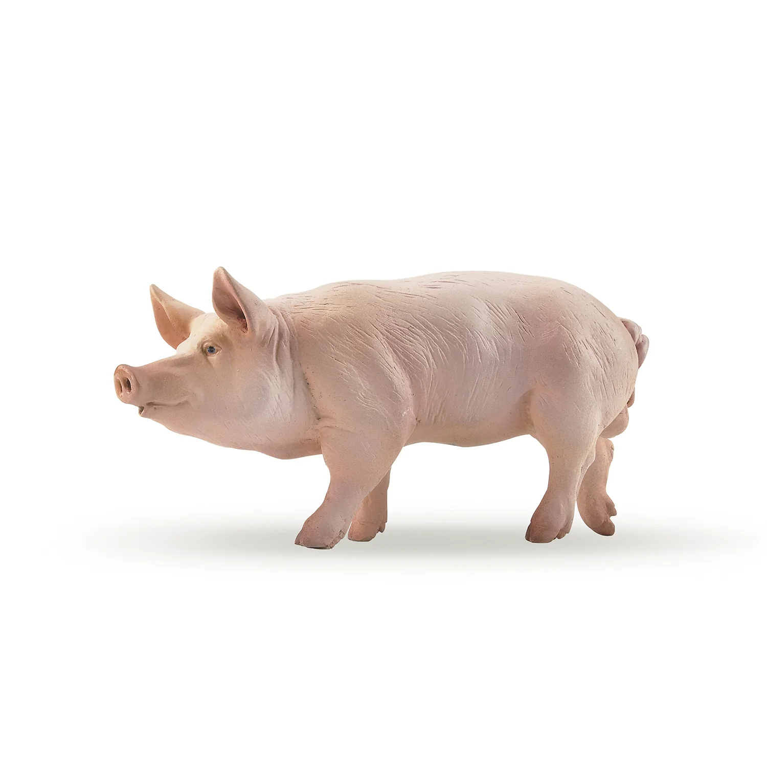 papo-pig-boar-51044