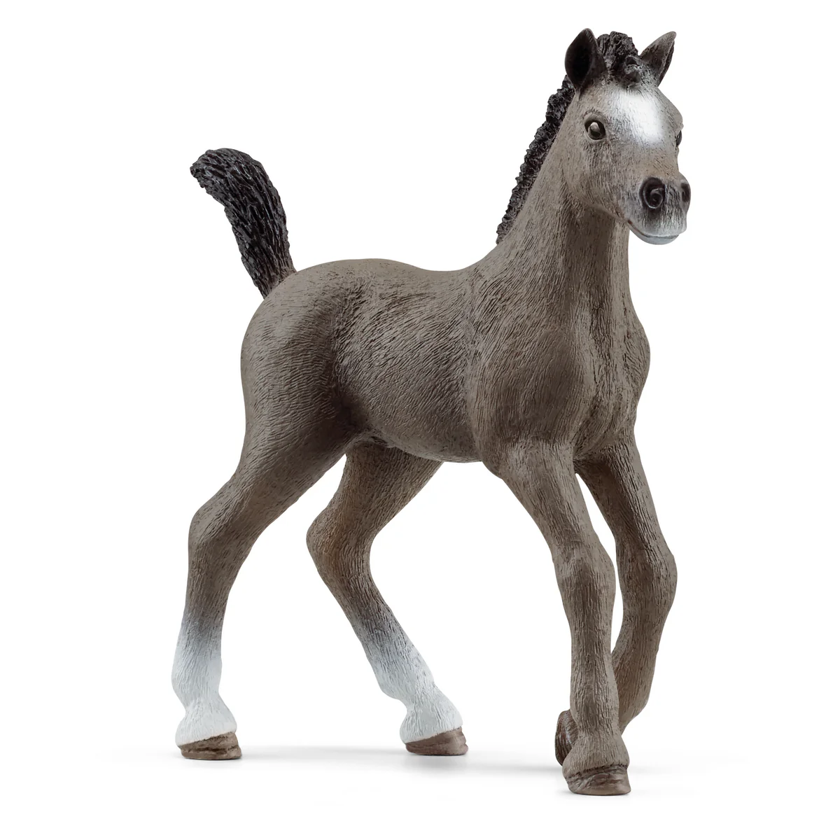 schleich-cheval-de-selle-francais-foal-13957